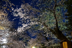 DSC01522