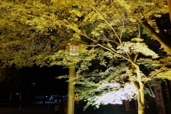 DSC01525