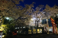 DSC01528