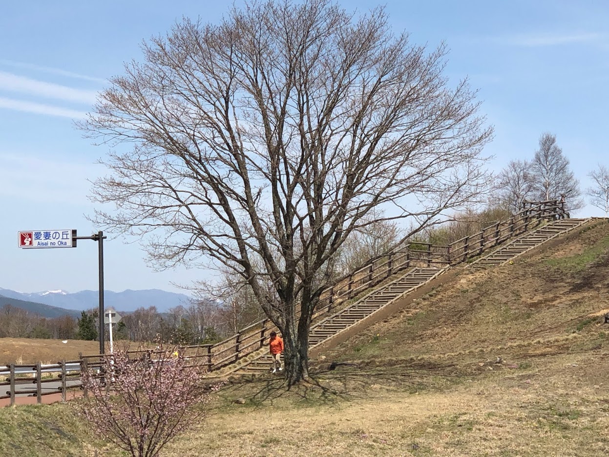 走り三昧 信州の旅 その２
